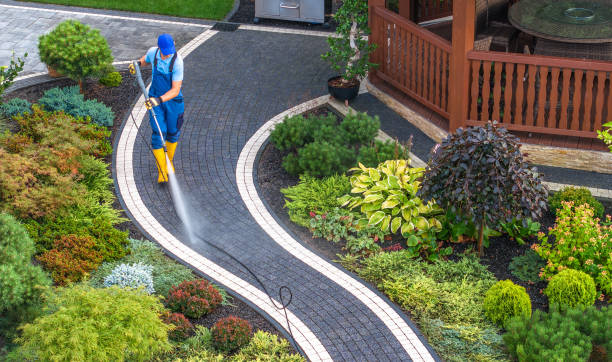 Best House Pressure Washing  in Kekaha, HI